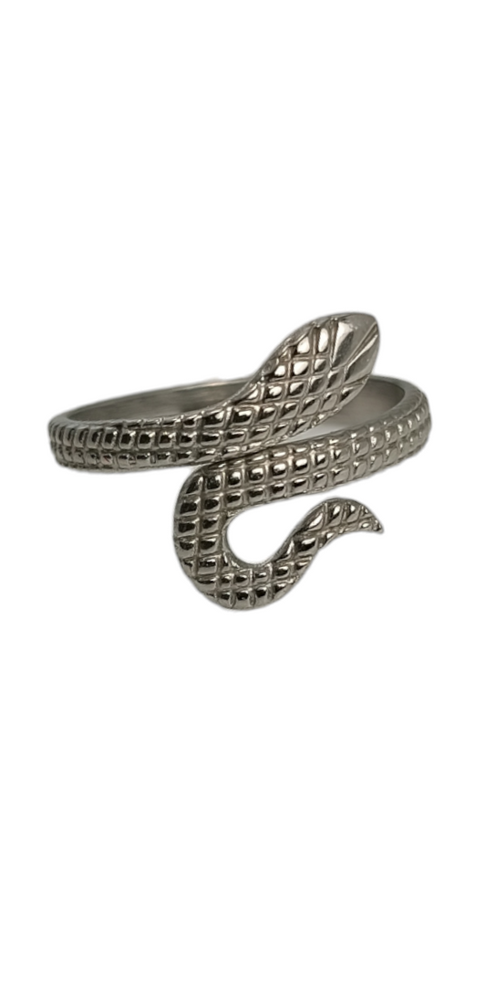 Bague en acier inoxydable