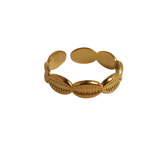 Bague en acier inoxydable
